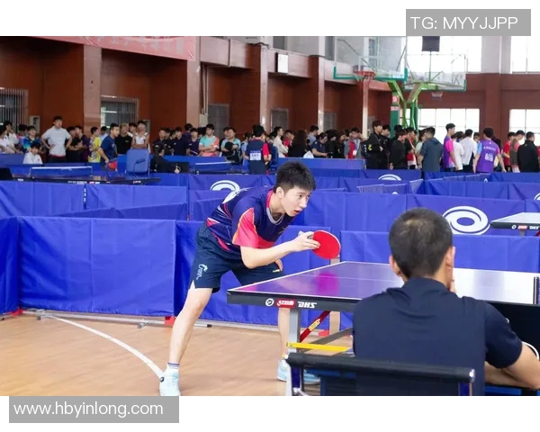 成都乒乓球队的比赛经验揭秘与训练心得分享