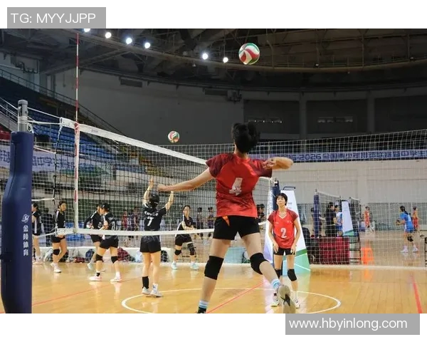 武汉排球队力压群雄创排球力量新高引发热议