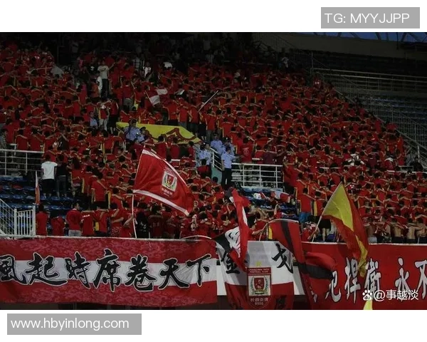 武汉排球队灵活性引发热议球迷与专家观点碰撞激烈