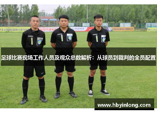 足球比赛现场工作人员及观众总数解析：从球员到裁判的全员配置